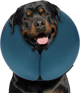 Inflatable Dog Neck Donut Collar Alternative after Surgery, Soft Protective Recovery Cone for Small Medium Large Dogs and Cats Puppies - Alternative E Collar (Blue, XL)