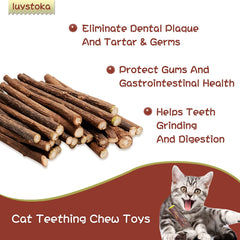Cat Toys - Silvervine & Matatabi Catnip Toys, 10PCS Indoor Kitty Chew Sticks & Wand Toys for Bored Cats