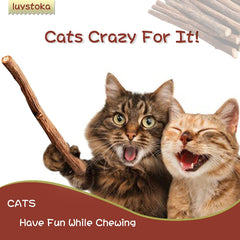 Cat Toys - Silvervine & Matatabi Catnip Toys, 10PCS Indoor Kitty Chew Sticks & Wand Toys for Bored Cats